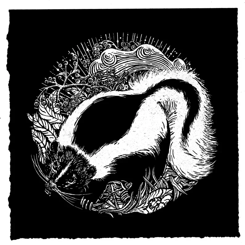 skunk.webp