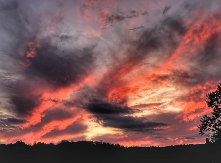 Screenshot 2026-03-30 142632.png