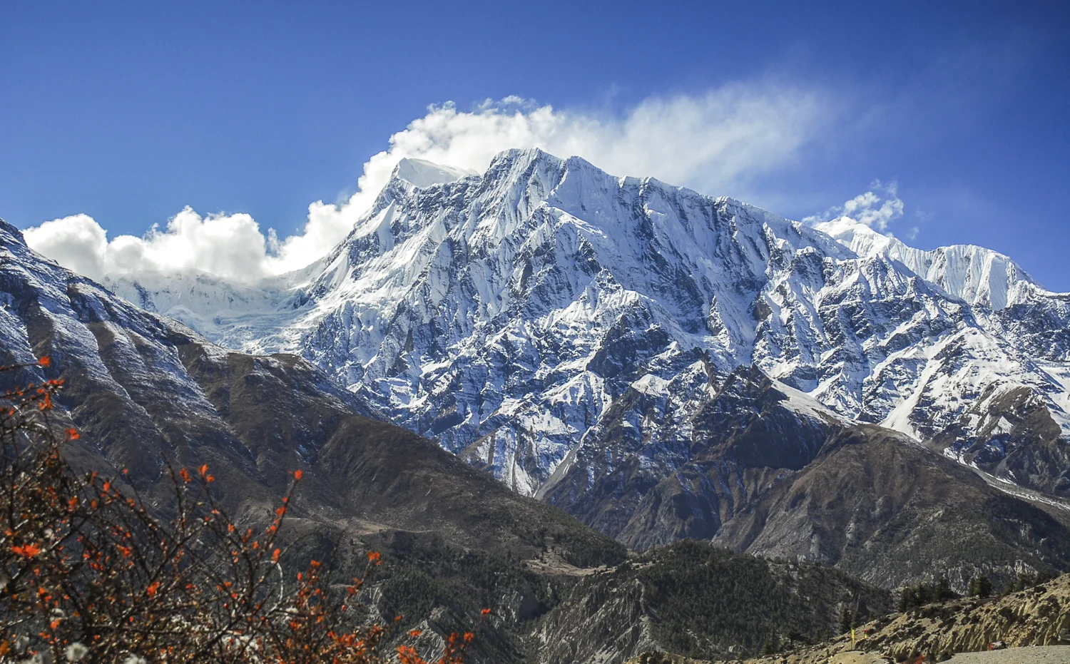 Annapurna Trek