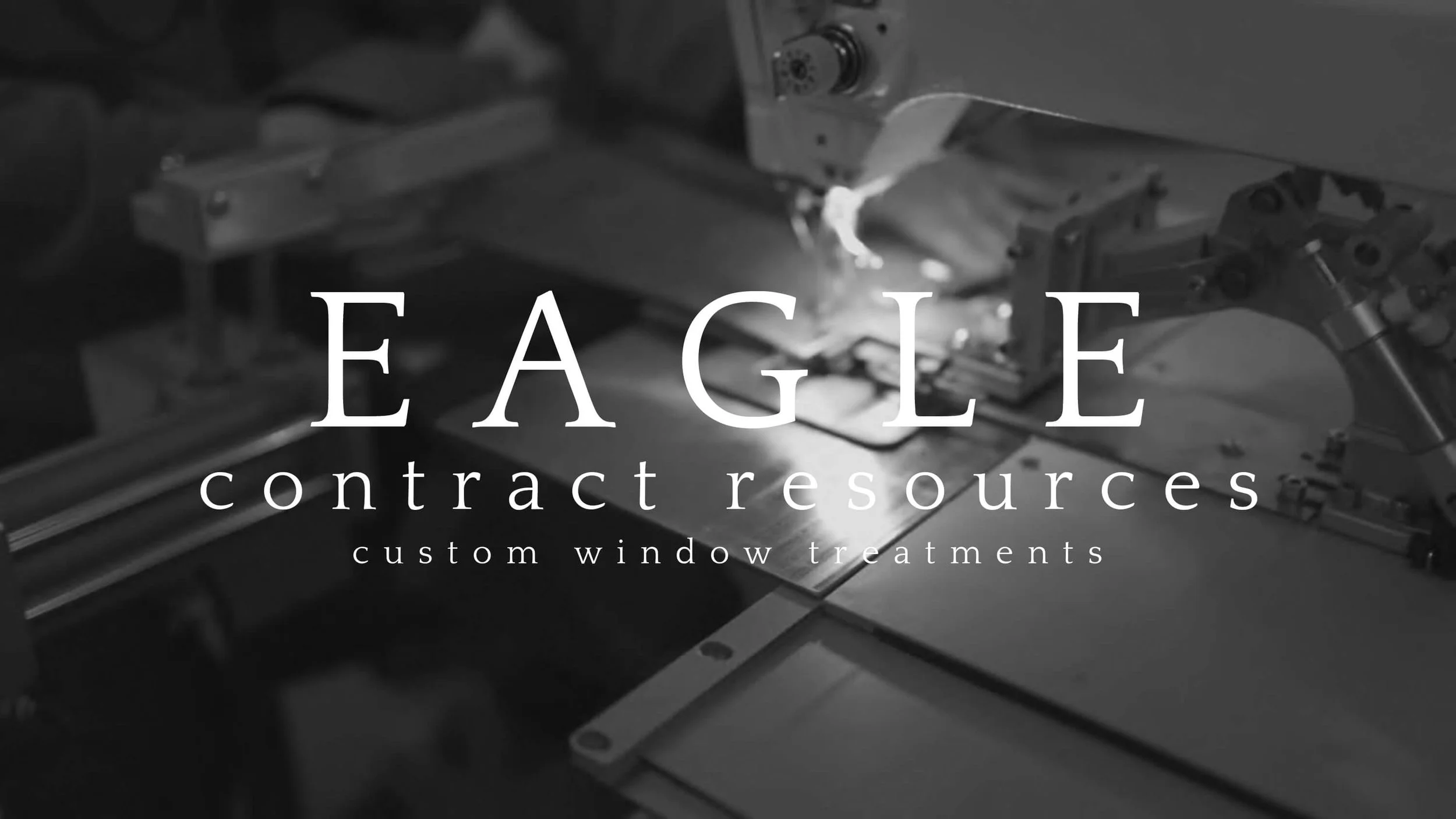 Eagle Presentation_page-0003.jpg