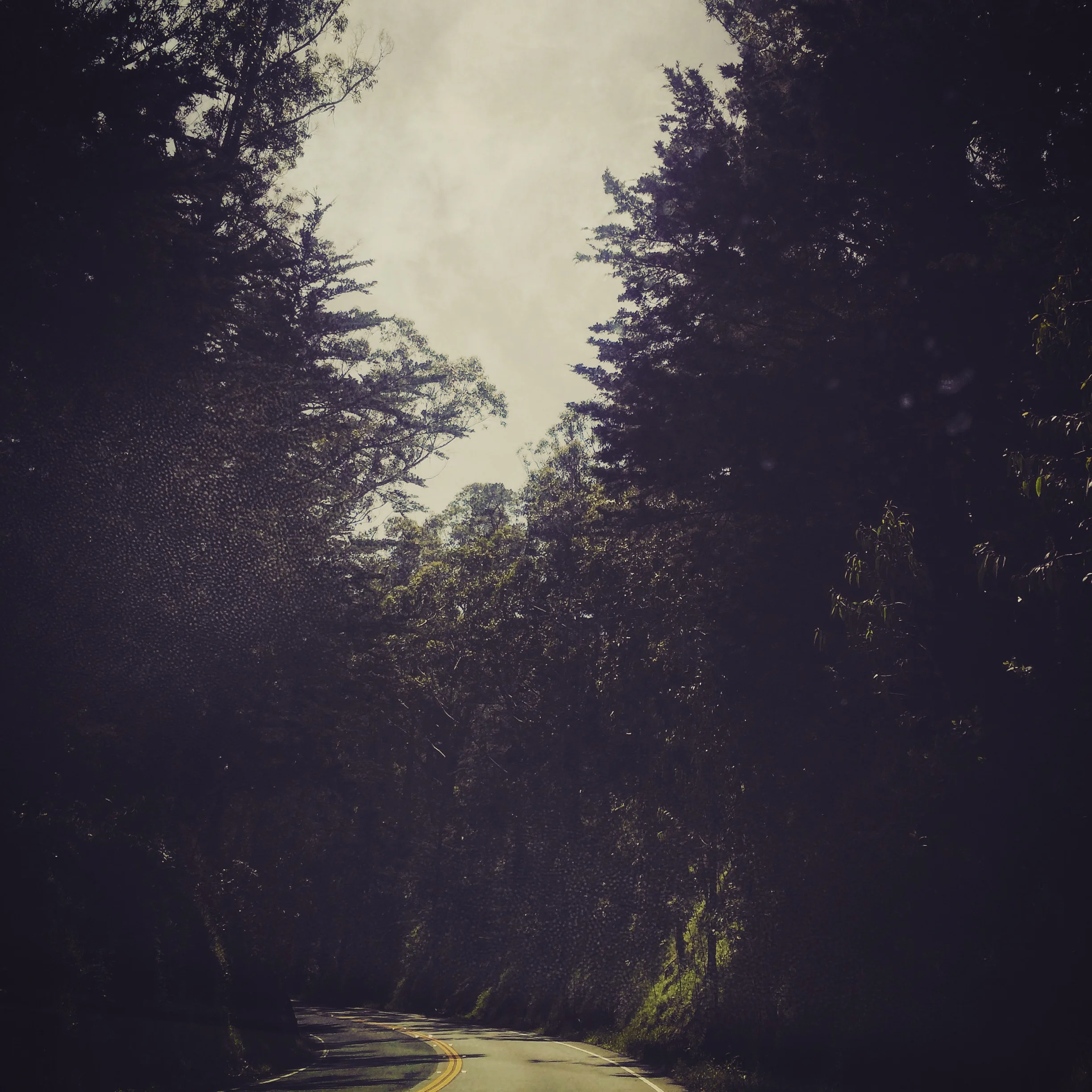 HIGHWAY 1