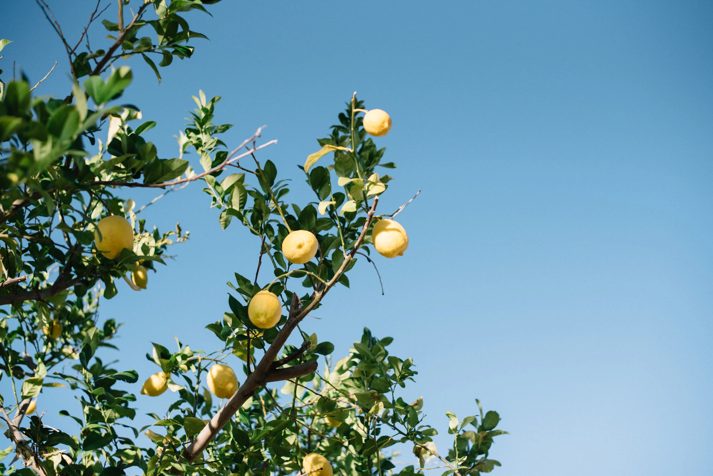 let the atmosphere surround me