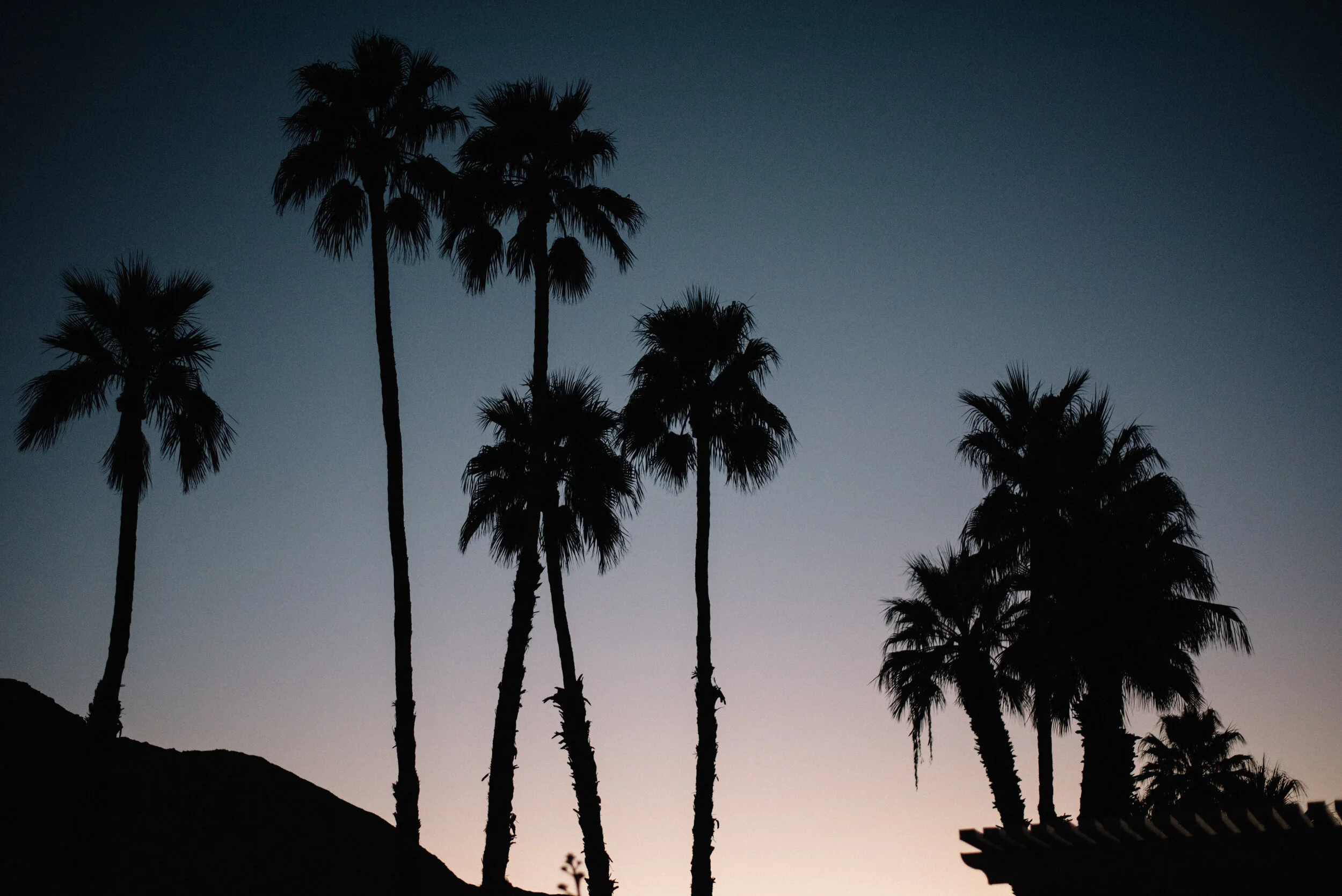 every skyline was like a kiss upon the lips