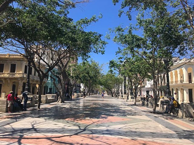 Summer days on Prado in Old Havana - where @chanelofficial strutted the Havana Cruise line just a few years back. #bphcuba .
.
.
#chanel #chanelcruise #havana #cuba #havanacuba #lahabana #prado #oldhavana #habanavieja #summer #travel #travelphotograp