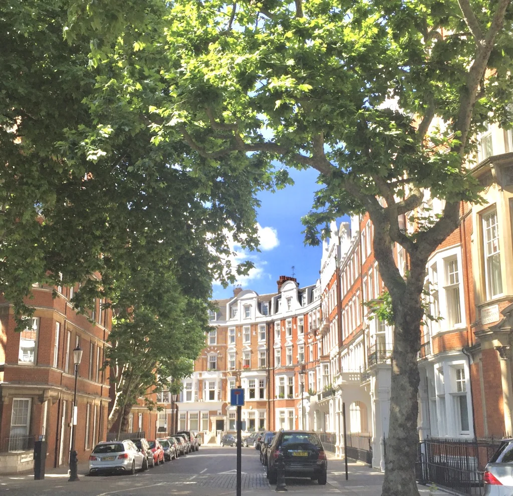 Chelsea embankment mansion blocks.jpg
