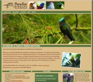 paradise-birding-website-300x267.jpg