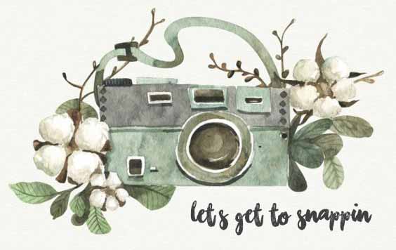 PC : pinterest 