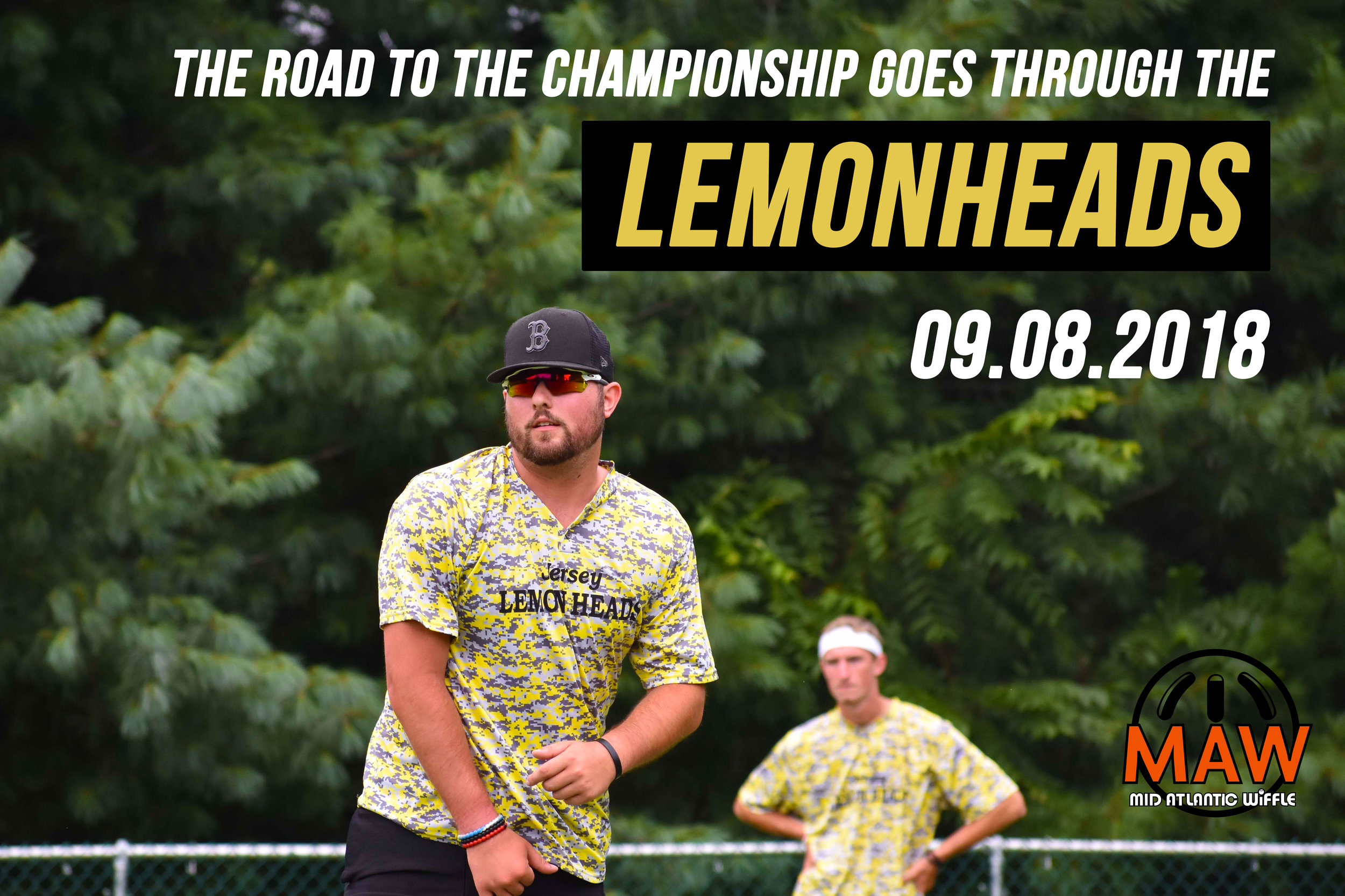 The-Road-to-...-Lemonheads.jpg