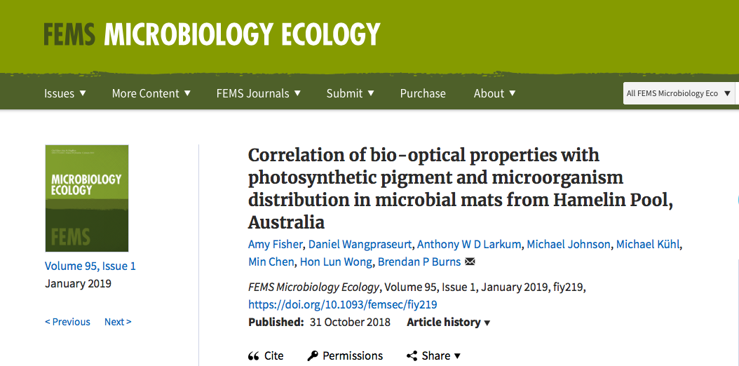 NEW PAPER IN FEMS MICROBIOLOGY ECOLOGY: 31 OCT 2018 ABSTRACT Microbial mats and stromatolites are widespread in Hamelin Pool, Shark Bay, however the phototrophic capacity of these systems is unknown. This study has determined the optical properties and light-harvesting potential of these mats with light microsensors. These characteristics were linked via a combination of 16S rDNA sequencing, pigment analyses and hyperspectral imaging. Local scalar irradiance was elevated over the incident downwelling irradiance by 1.5-fold, suggesting light trapping and strong scattering by the mats. Visible light (400–700 nm) penetrated to a depth of 2 mm, whereas near-infrared light (700–800 nm) penetrated to at least 6 mm. Chlorophyll a and bacteriochlorophyll a (Bchl a ) were found to be the dominant photosynthetic pigments present, with BChl a peaking at the subsurface (2–4 mm). Detailed 16S rDNA analyses revealed the presence of putative Chl f -containing Halomicronema sp. and photosynthetic members primarily decreased from the mat surface down to a depth of 6 mm. Data indicated high abundances of some pigments and phototrophic organisms in deeper layers of the mats (6–16 mm). It is proposed that the photosynthetic bacteria present in this system undergo unique adaptations to lower light conditions below the mat surface, and that phototrophic metabolisms are major contributors to ecosystem function. AUTHORS: Amy Fisher, Daniel Wangpraseurt , Anthony Larkum, Michael Johnson, Michael Kuhl, Min Chen, HOn Lun Wong, Brendan Burns