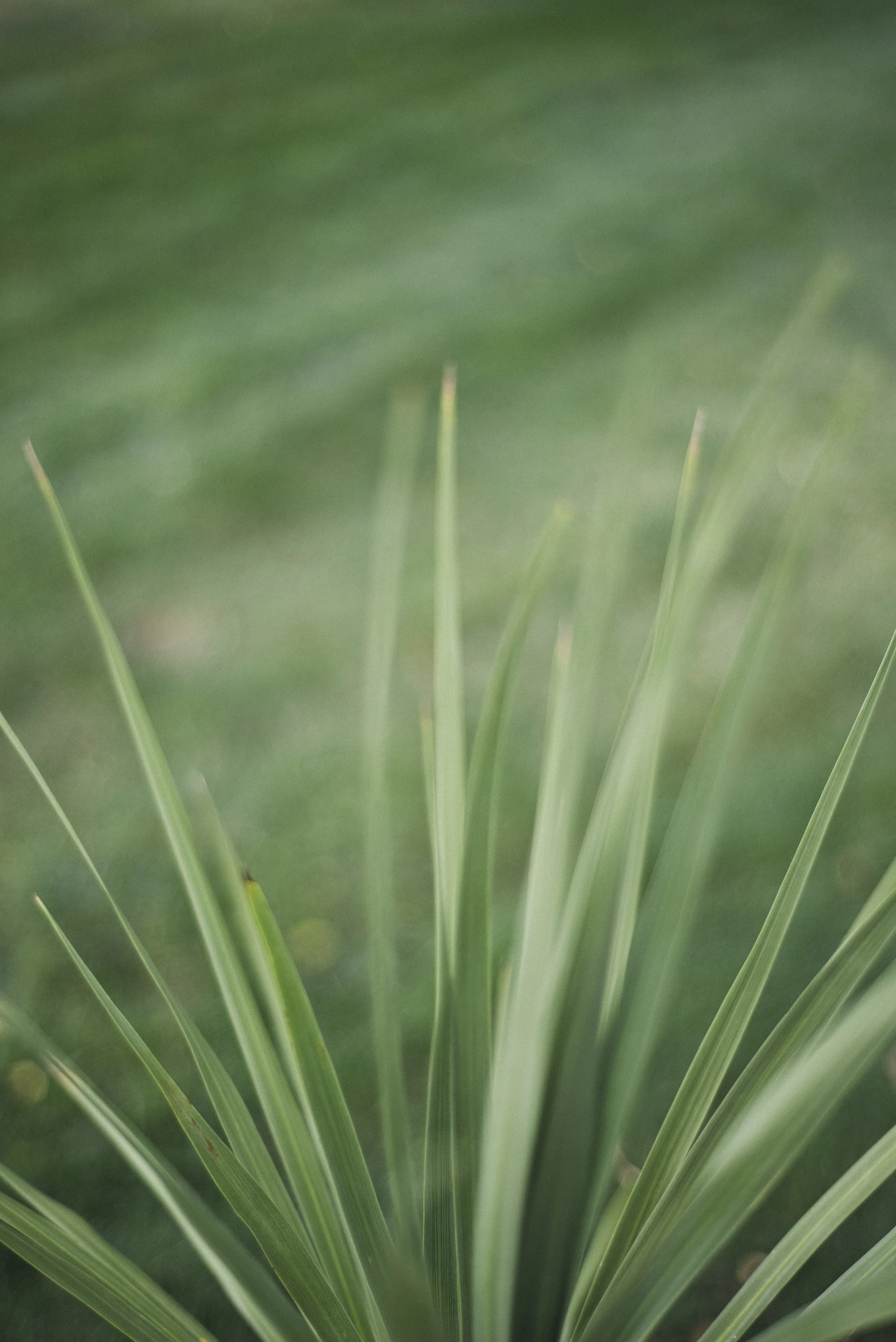 BARTLETT WEDDINGS_Cherbero_Website_032.jpg