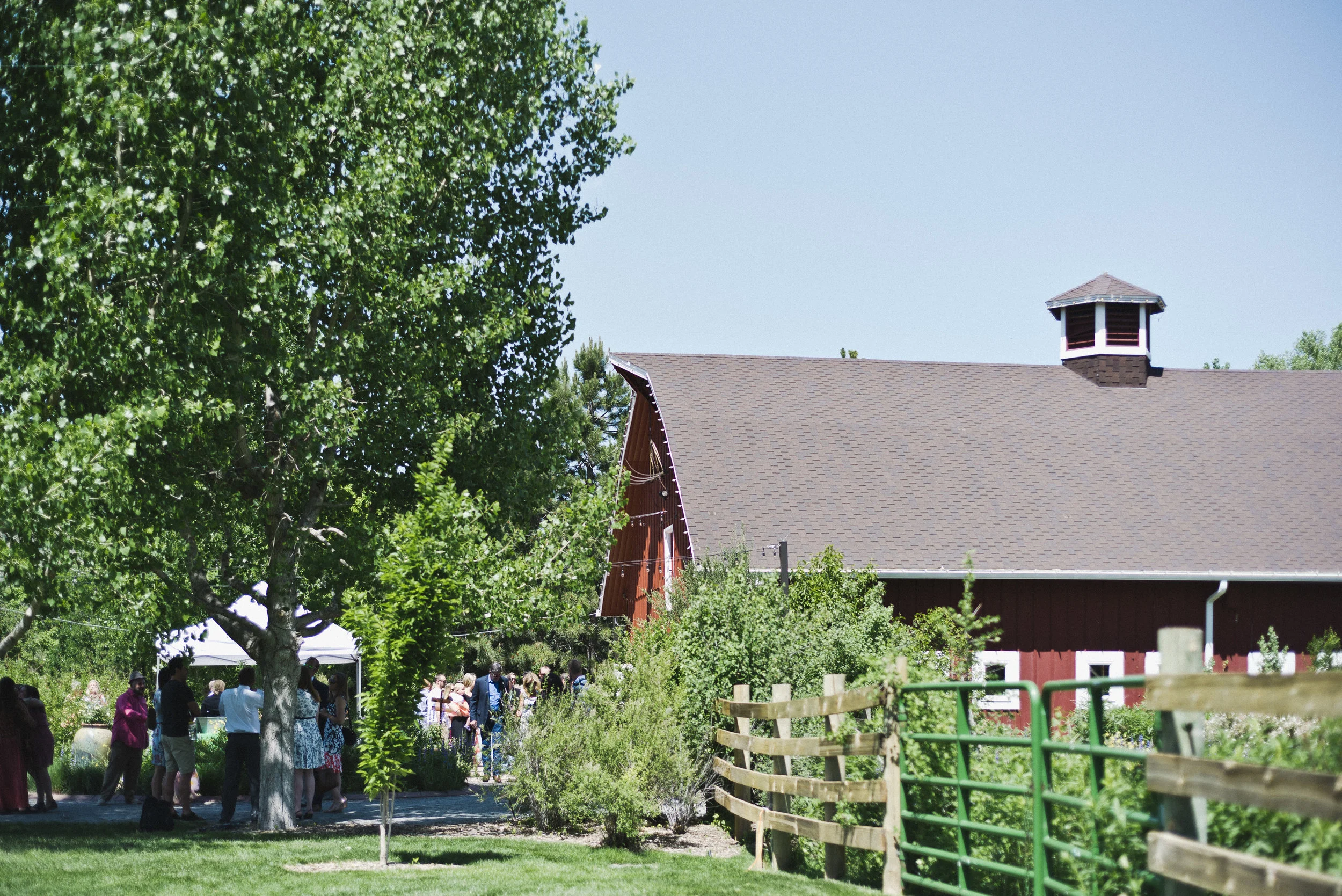 BartlettWeddings_McDuffee_Website_032.jpg