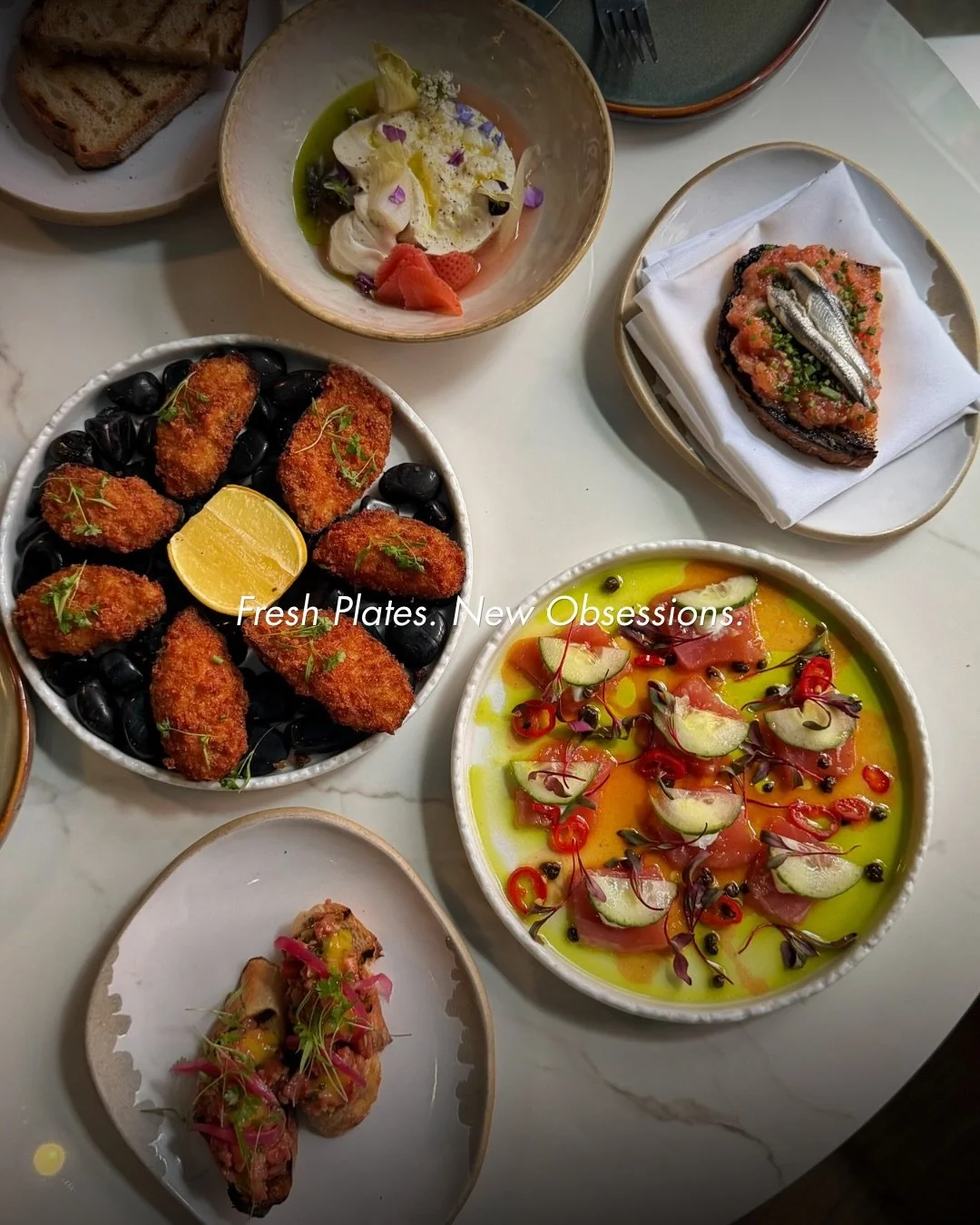 Swipe for your next food crush: crudo that flirts, tartare that teases, burrata with a twist, mussels that roar, and mushroom toast that begs for a bite. Obsessed? Same. 

#TasteToronto #NewMenu #FreshPlates #BarReyna