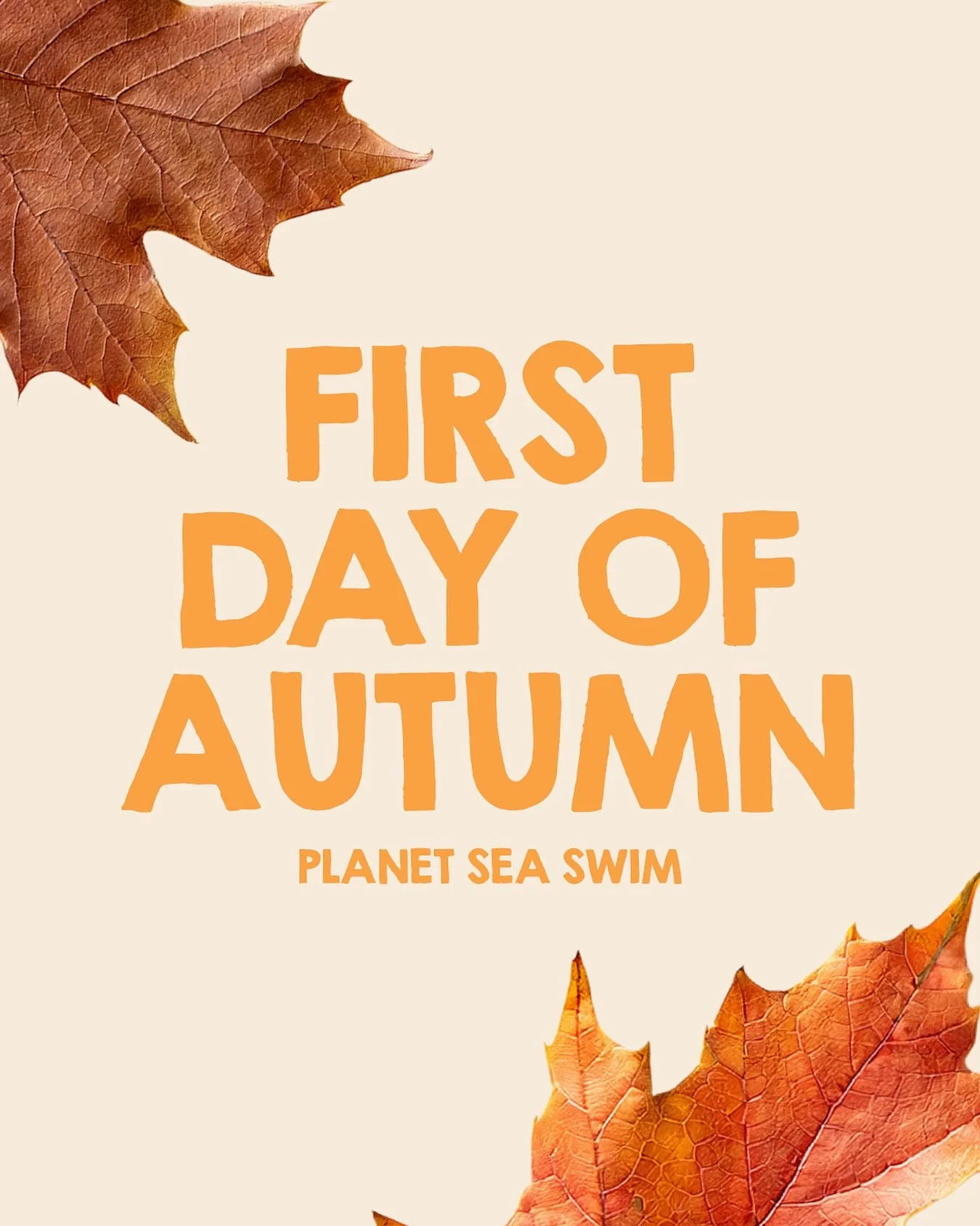 🍂✨ Hello Autumn! ✨🍂

A new season begins, bringing cozy vibes, warm colors, and fresh inspirations. 🍁💛
Let&rsquo;s dive into fall with style, comfort, and the beauty of every detail.

#PlanetSeaSwim #FirstDayOfAutumn #HelloFall #cozyseason #plane