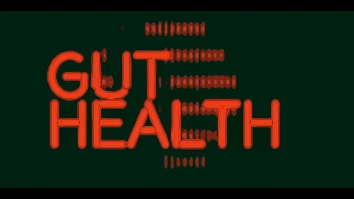 Stoked to be selected by @cubadupa to create a seductive LED screen commission for Melbourne-based band @gut___health ✨
.
The 45 minute work will premiere on the iconic Wellington Airport Ngā Taniwha Stage during Gut Health&rsquo;s set 8:00&ndash;8:4