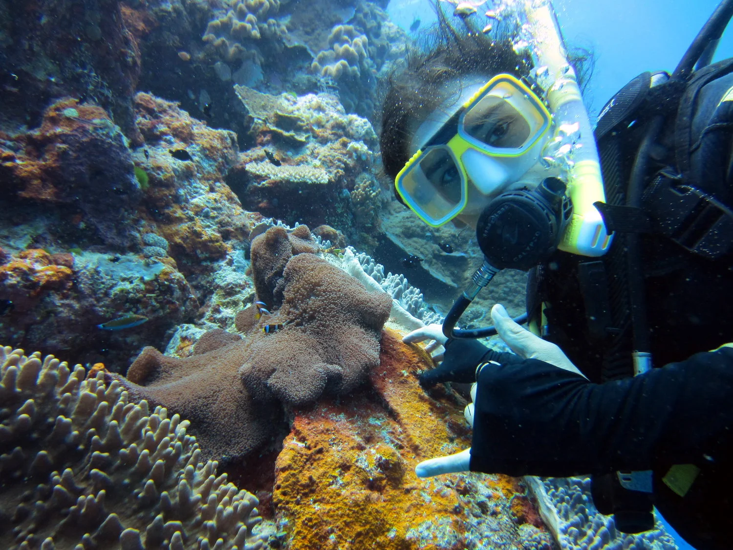 The first week in Australia