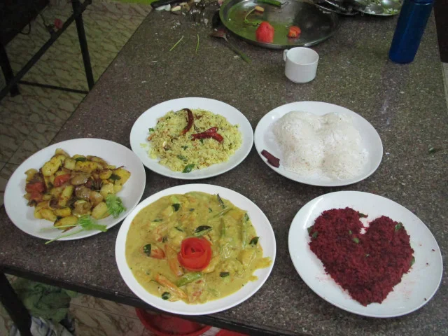 Sivananda Ashram: The conclusion