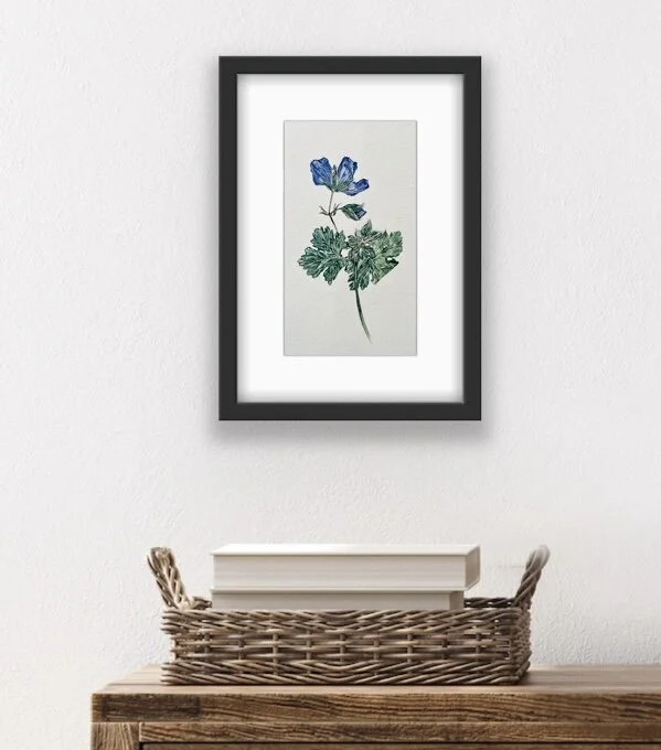 000E2AE3-D3ED-41D0-A6DA-FDCC6B64213E