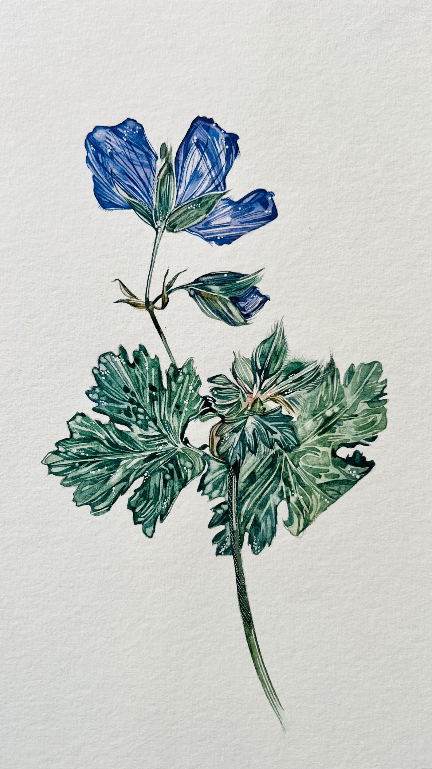 9CCA7E02-32E9-4B6F-B2E1-8AC6EF0CE7FD