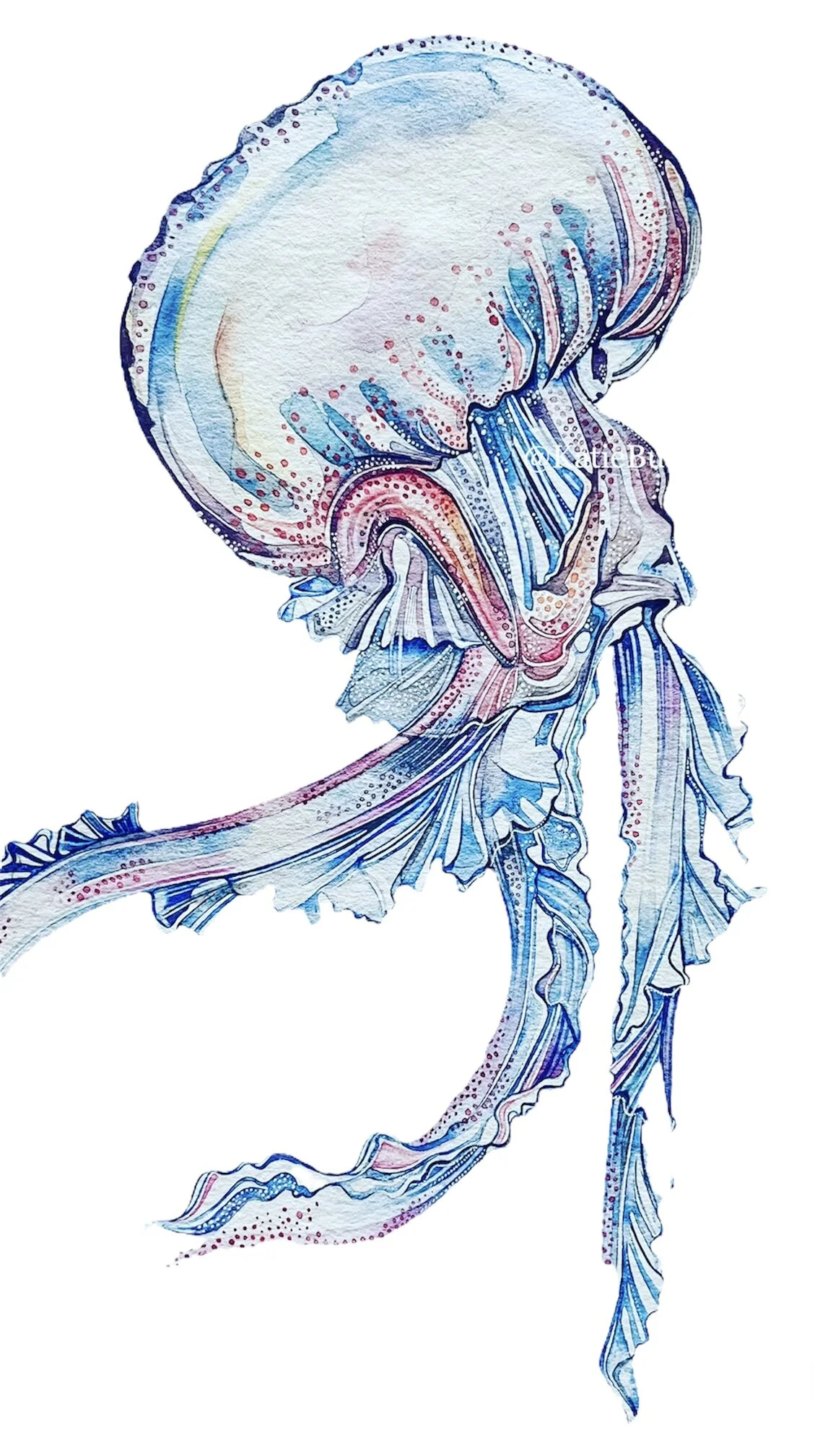 D077D0D1-3A96-4706-8336-41A9A31D57DF