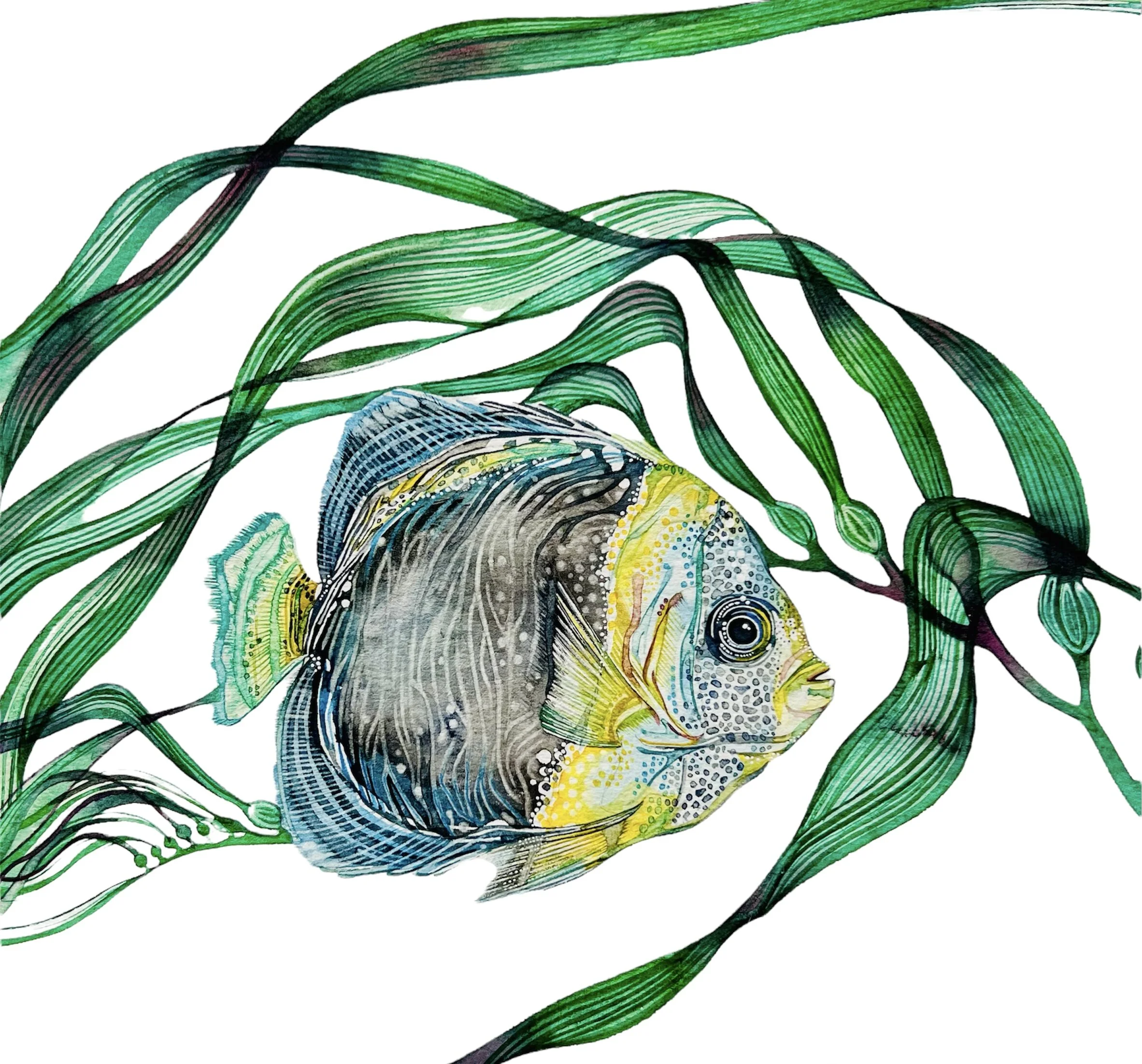 0DC1612E-BCBA-41E9-B035-8578F61F8C4B