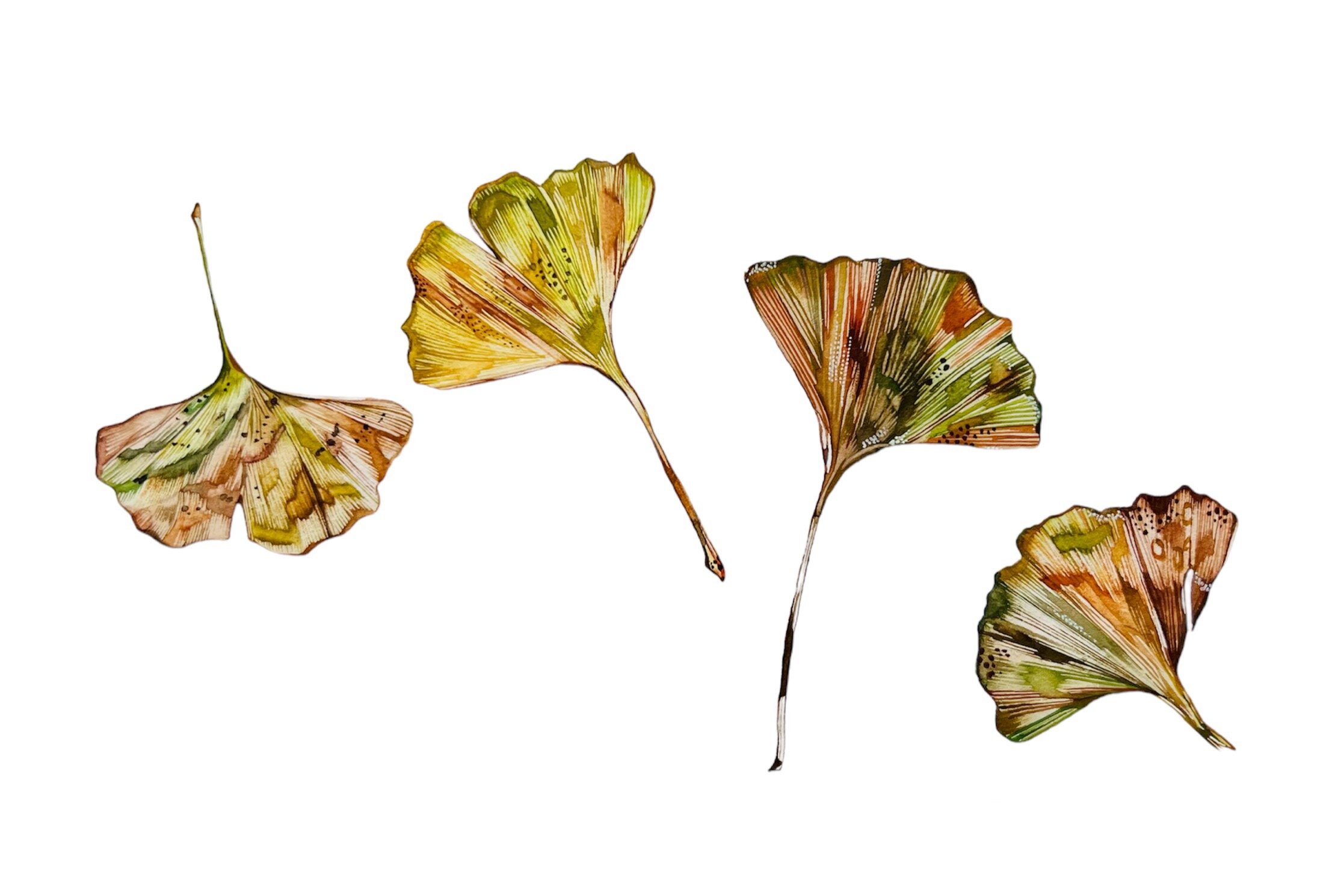 4839A904-8E5A-4024-971F-B7F749443C7D