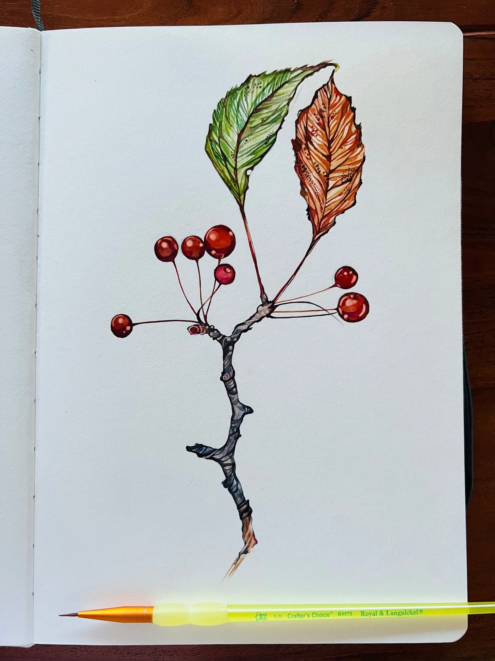 3916CBDB-3C17-41A7-9A95-6E39161CF17F