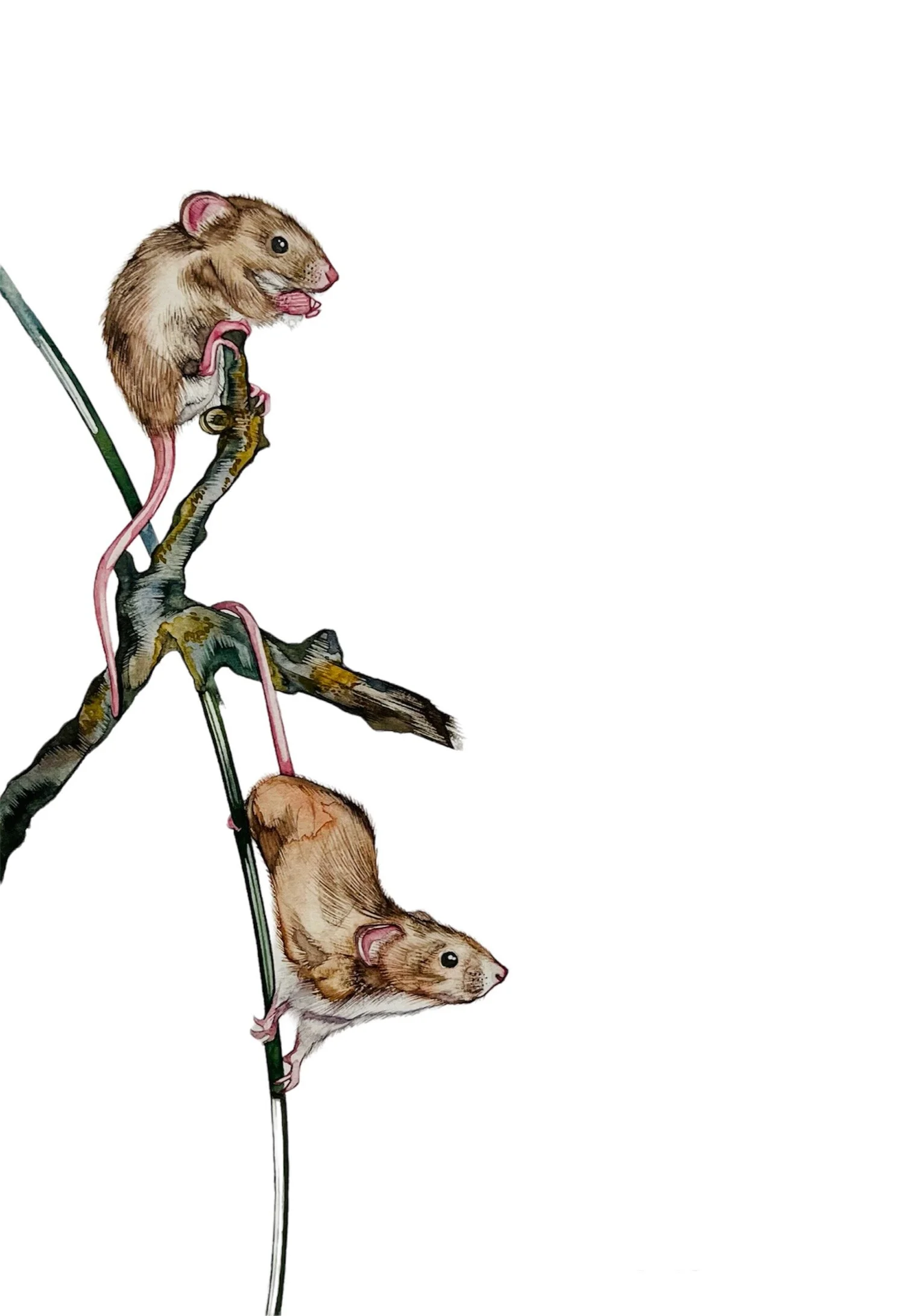 1C5CCDAC-6AC1-477C-A28E-B75423DD07BF