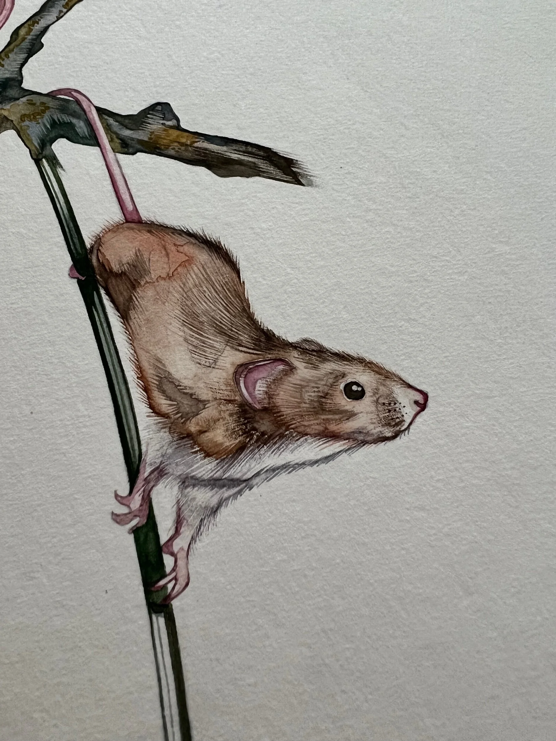 4F85DE94-A6AF-455A-81AF-BE7D0A3068EA