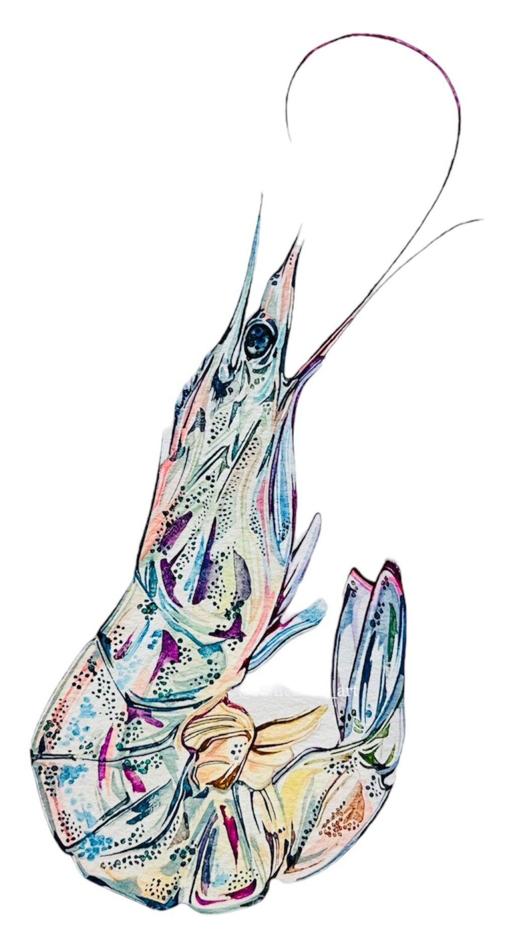 35B83A94-C444-45E2-95B7-4A6DD54A0AFD