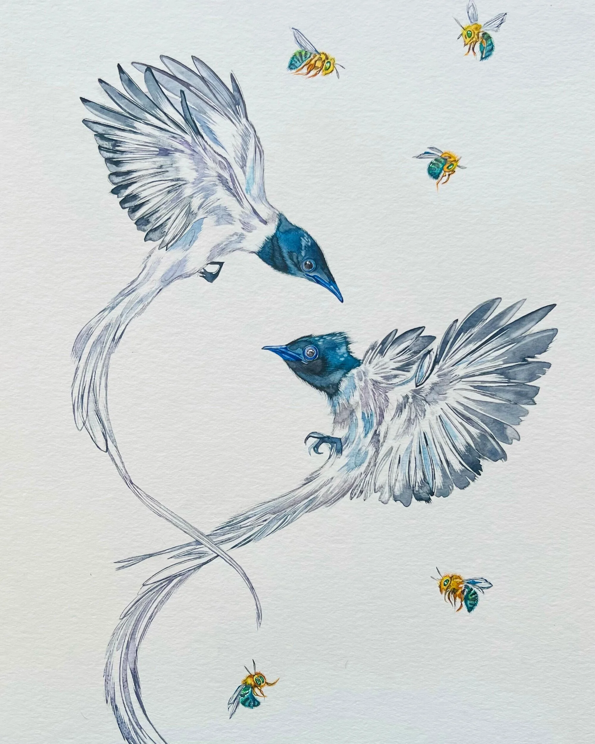 C8CBE896-A9AE-41FB-B2BA-4E14DAA4B00D