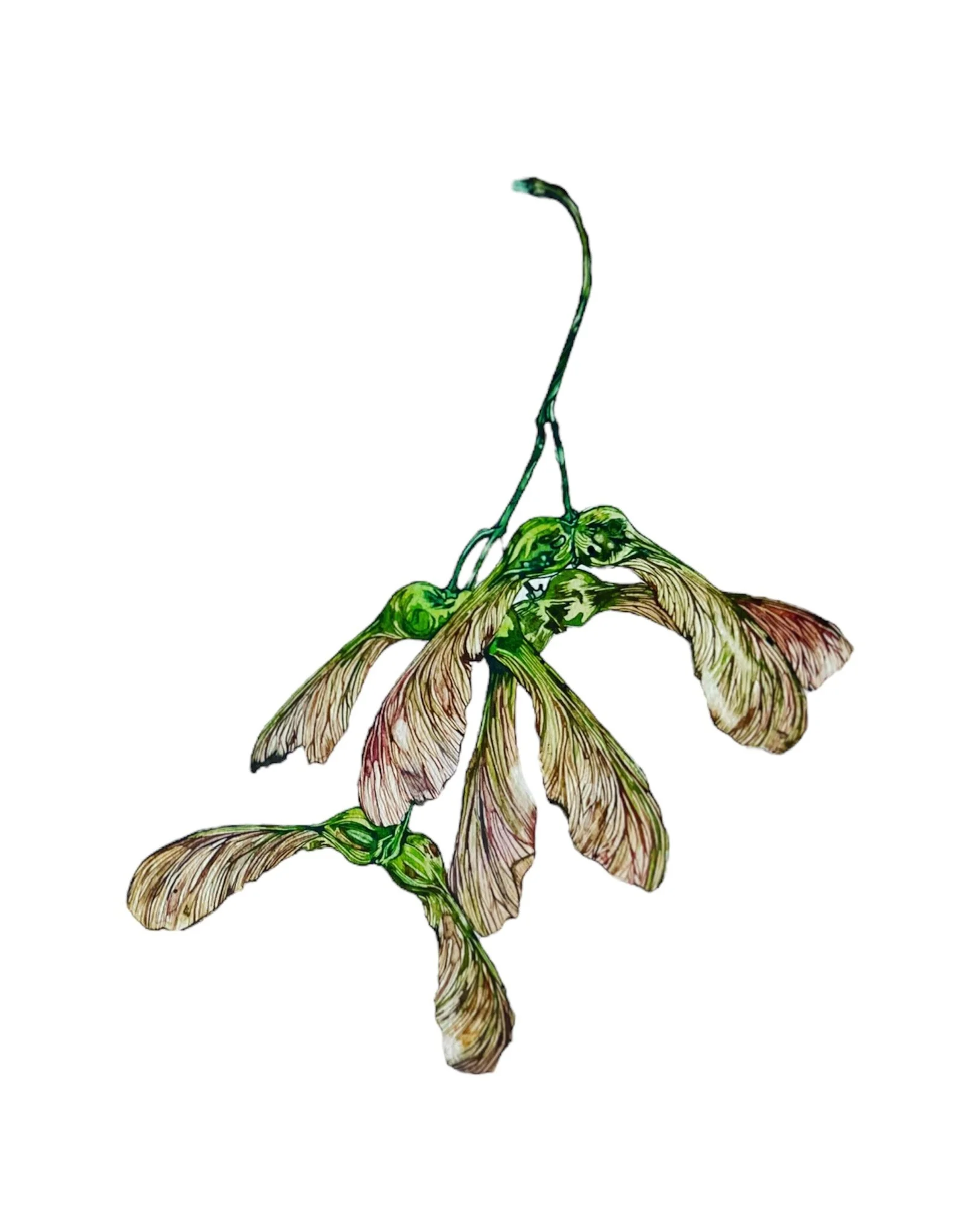 2530E46F-330E-4581-9A1C-B6377FB7DD17