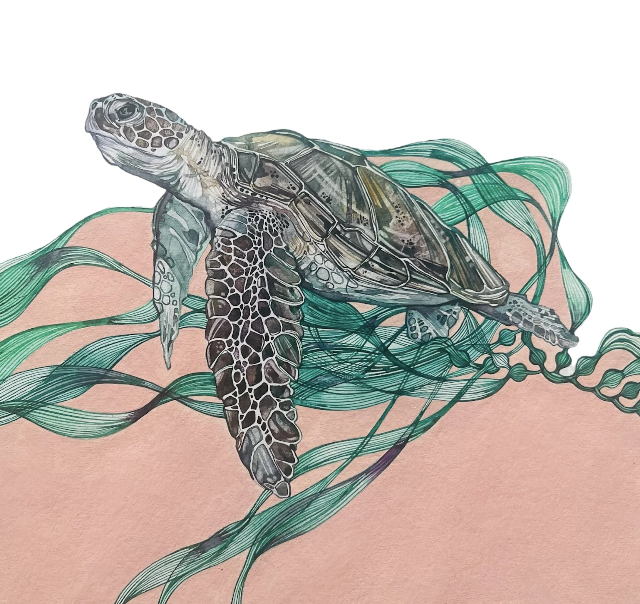 6F91EFBC-783A-4353-931F-CDBCF367579E