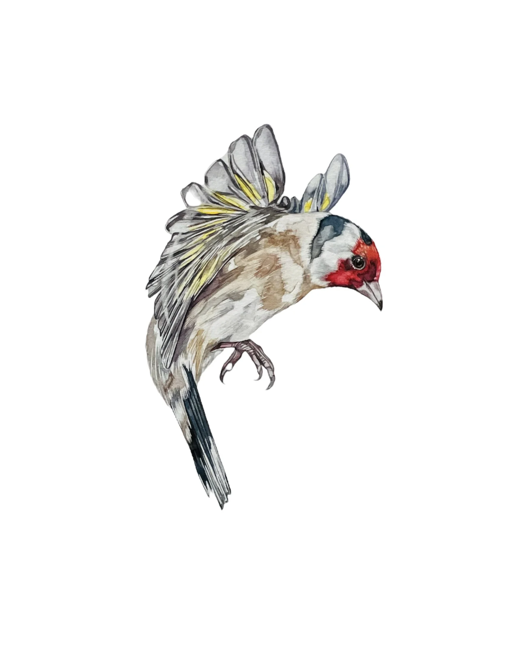 CC2F1261-65B2-42D6-8618-9D342AA9536C