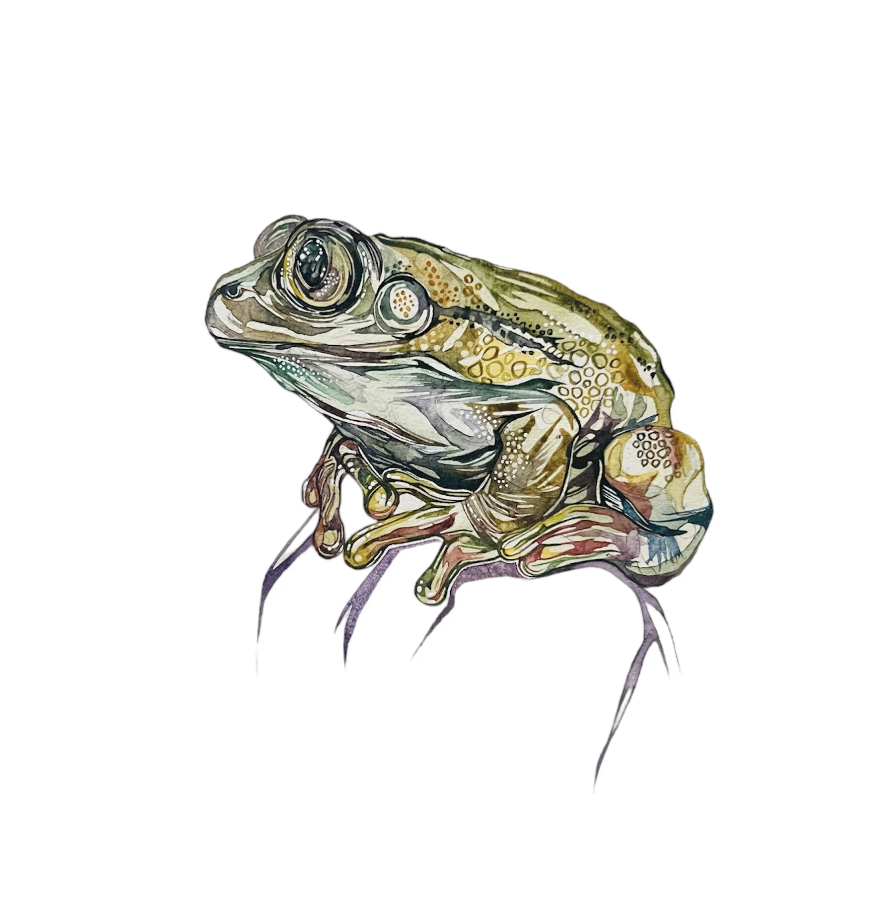 AF2BEBF4-2536-44FB-A498-9A9DBD79D0FB