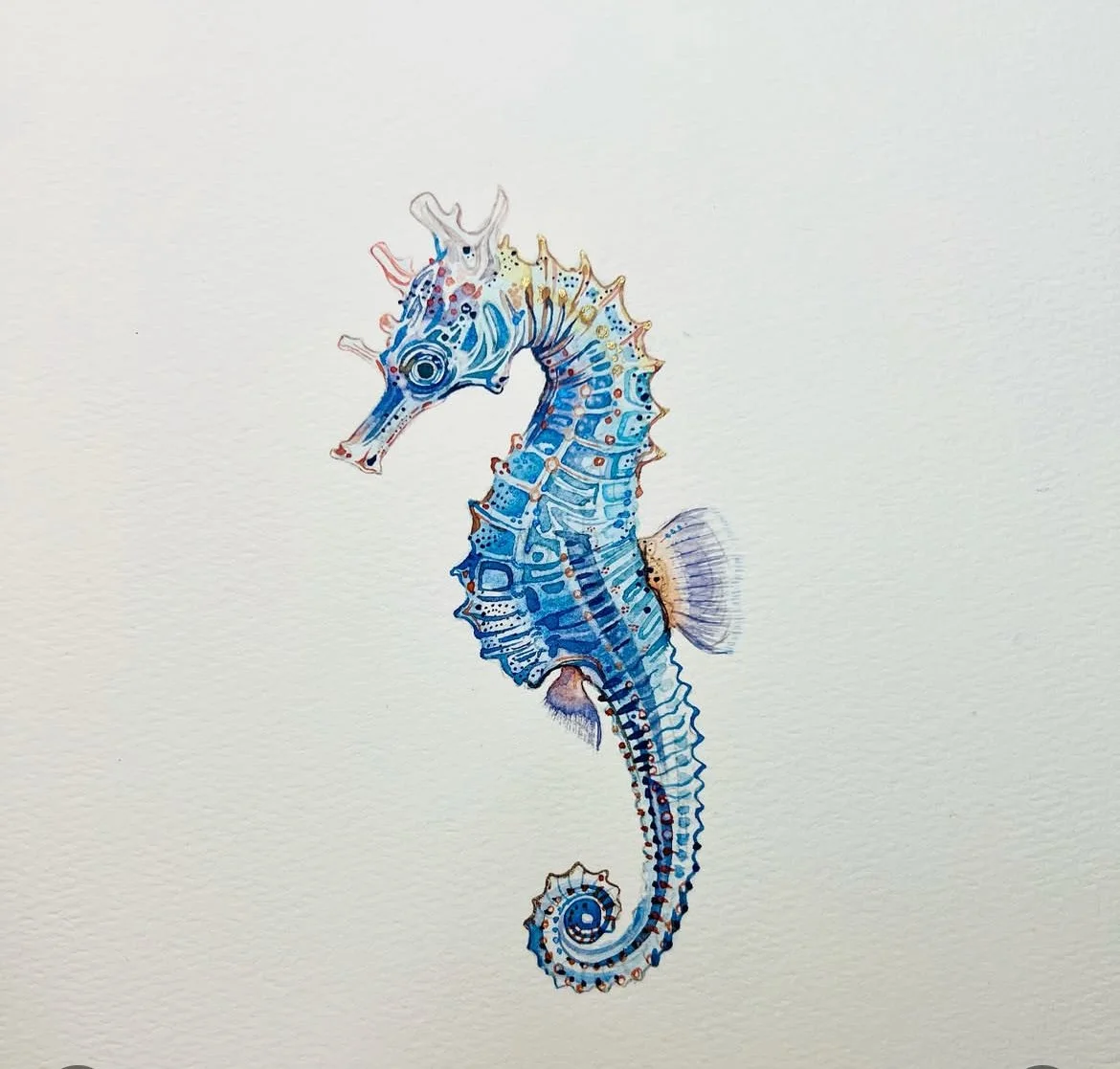 D5855F73-7ABF-4A8B-ADE7-B5C12F760519.jpeg