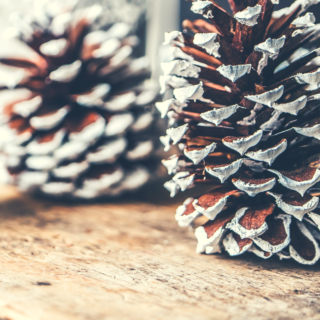 Healthy Holiday Travel Tips 