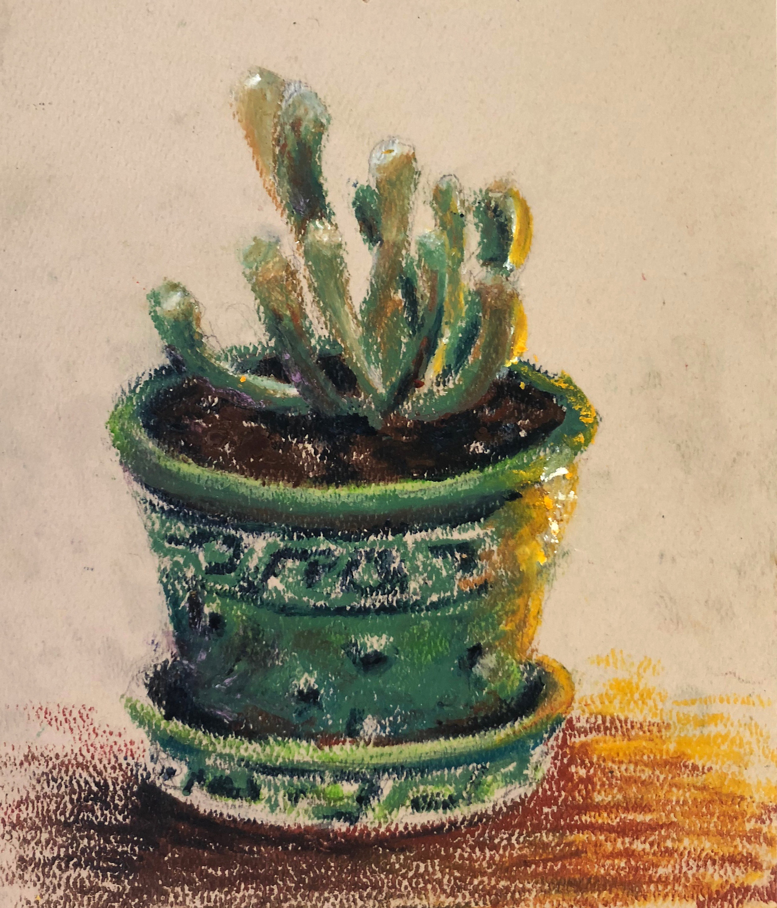 Cactus Study 