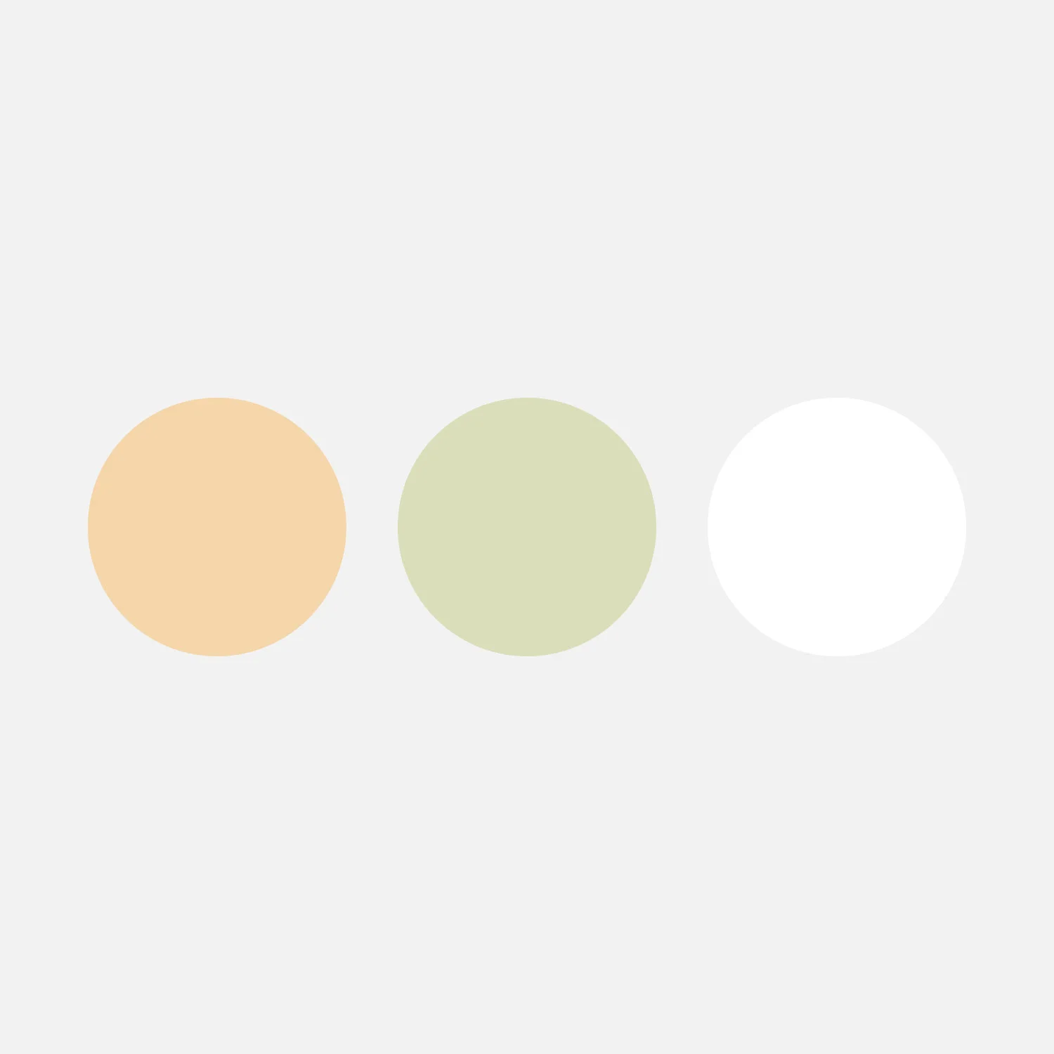 Color Palette