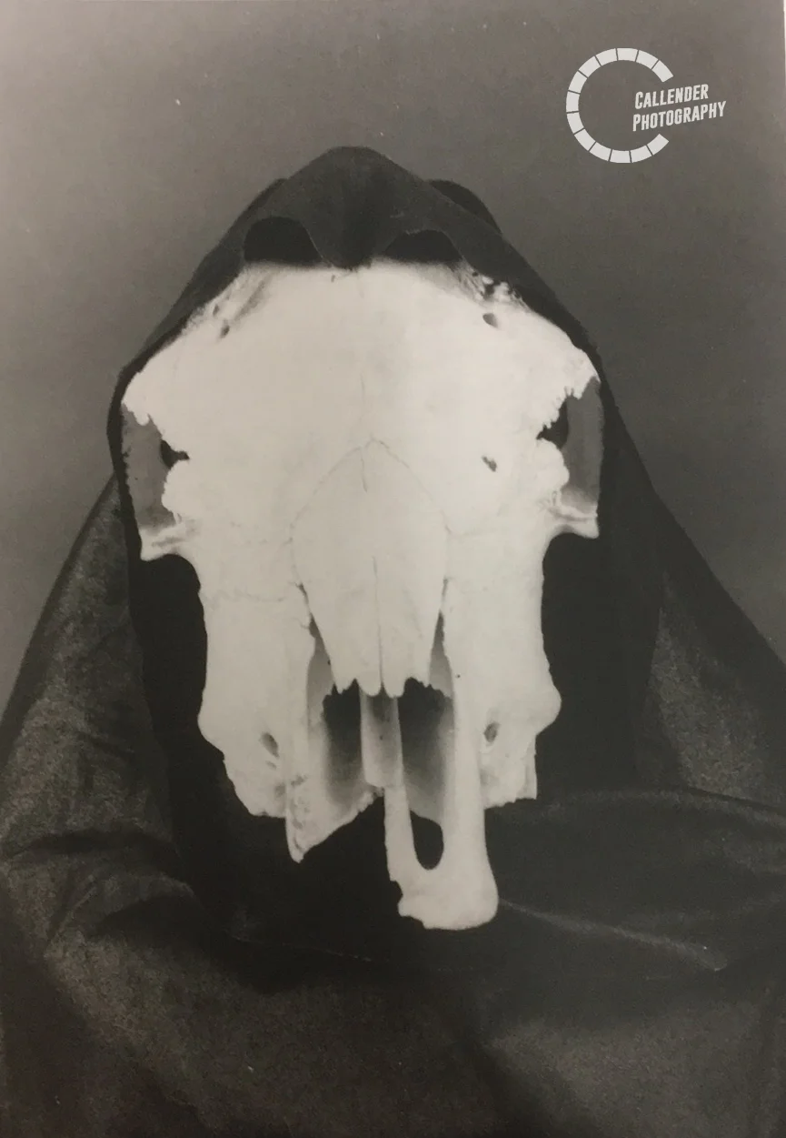 skull.jpg