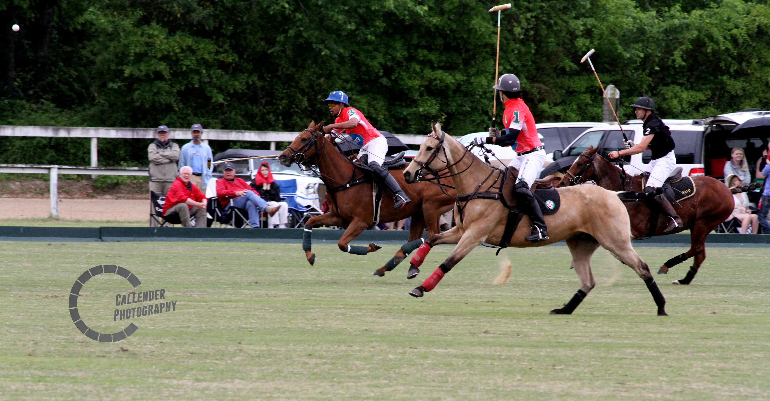 polo2logo.jpg