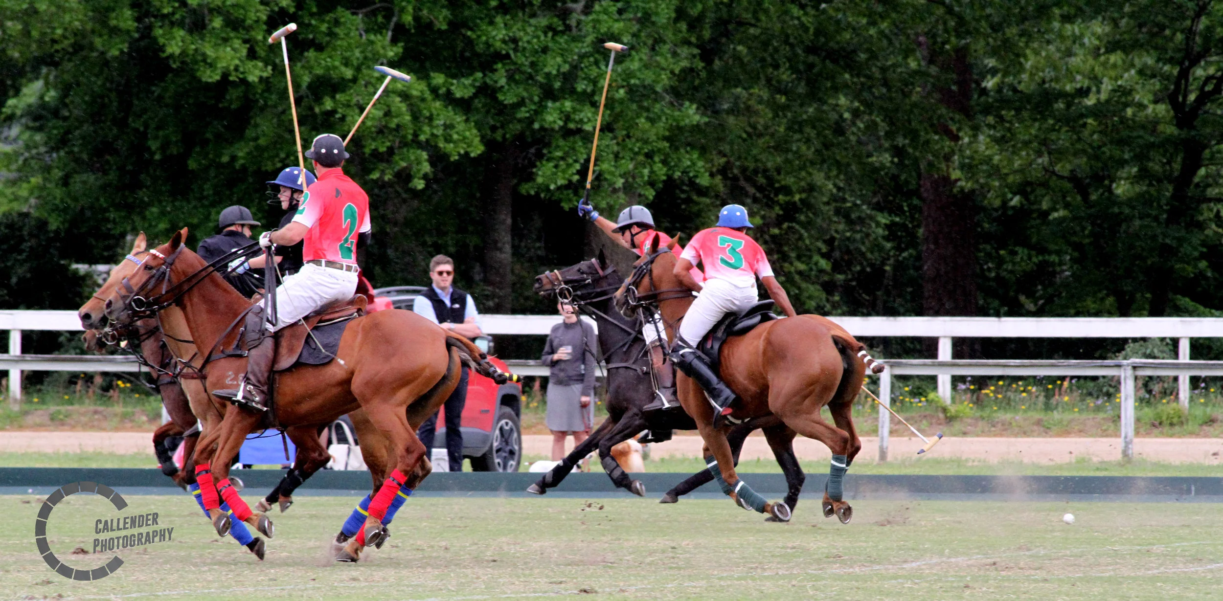 polo8logo.jpg