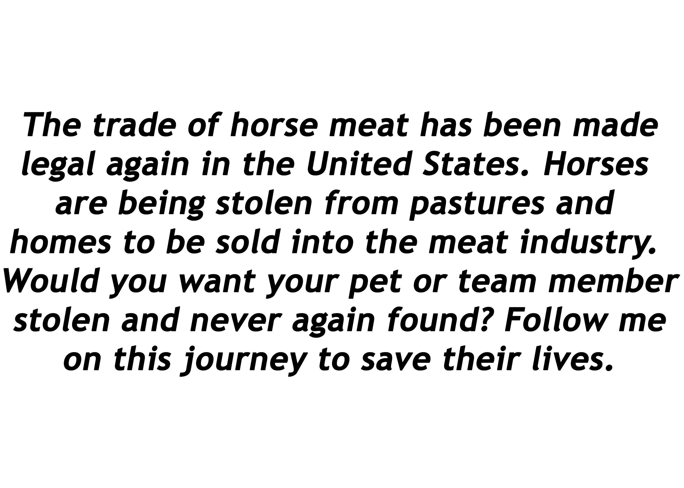 DescriptionHorseRescue.jpg