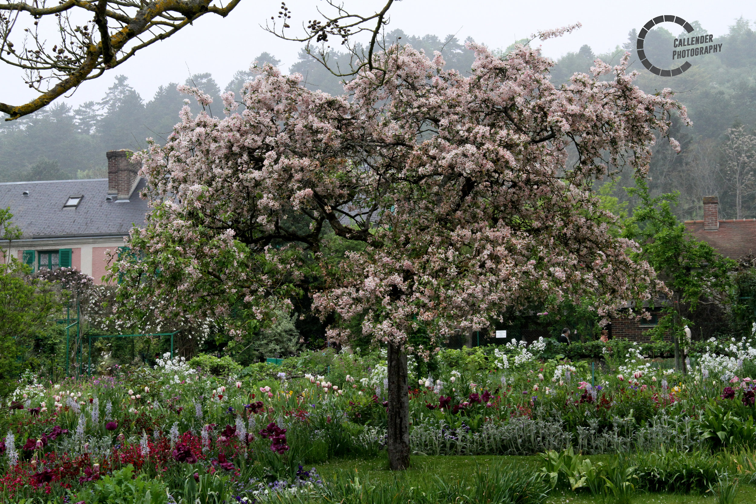 garden.jpg