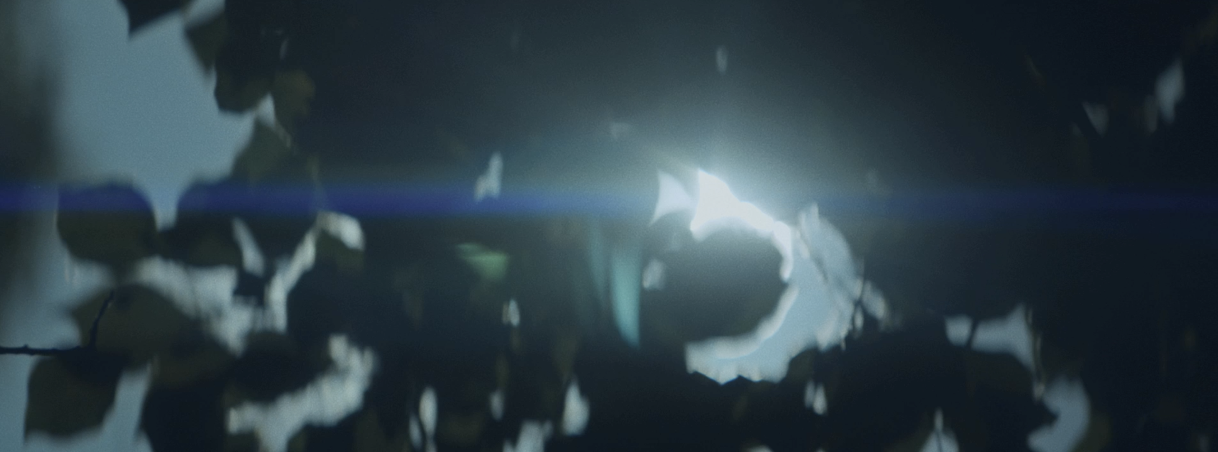 tightrope movie.png