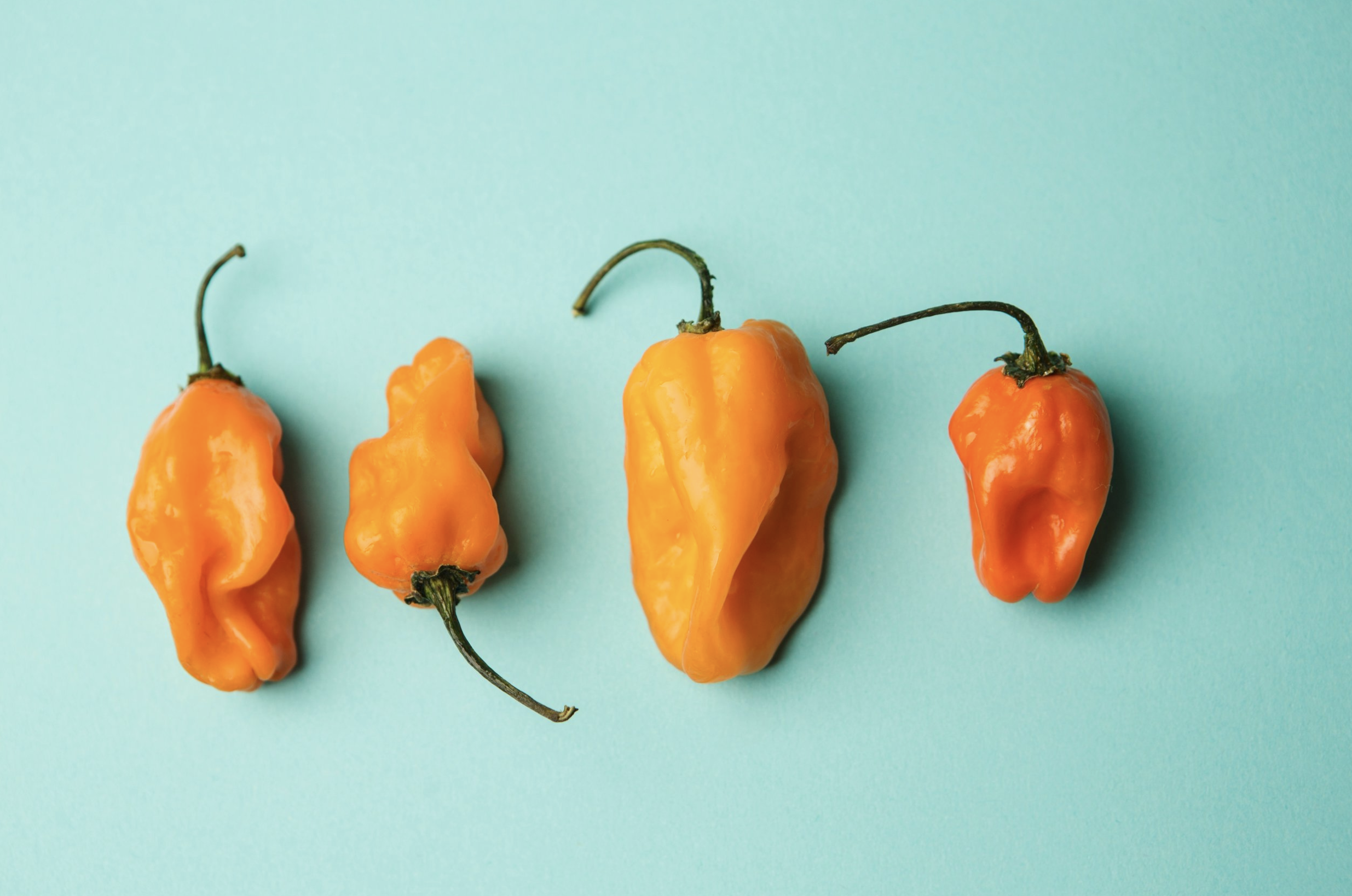 Screen Shot 2020-08-04 at 12.58.48 PM.png