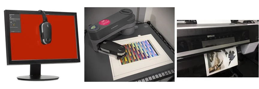 Color Management Workflow