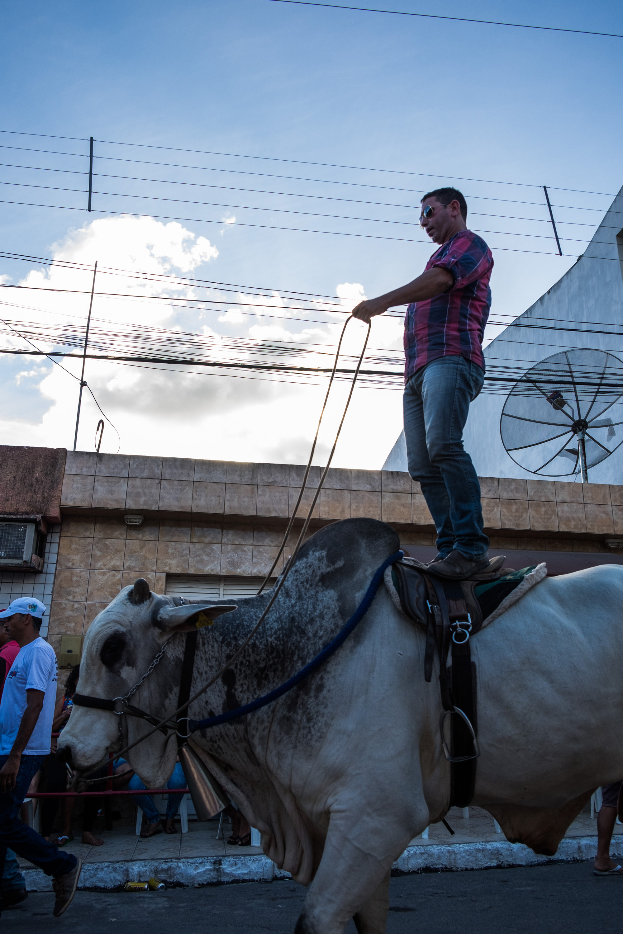 Bull riding, Pau Ferro-PE, 2016