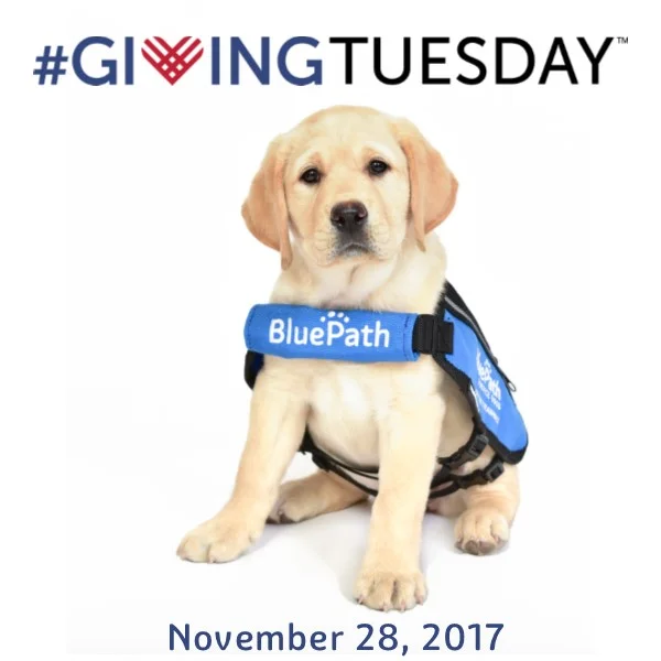 GivingTuesday Instagram Save the Date.jpg