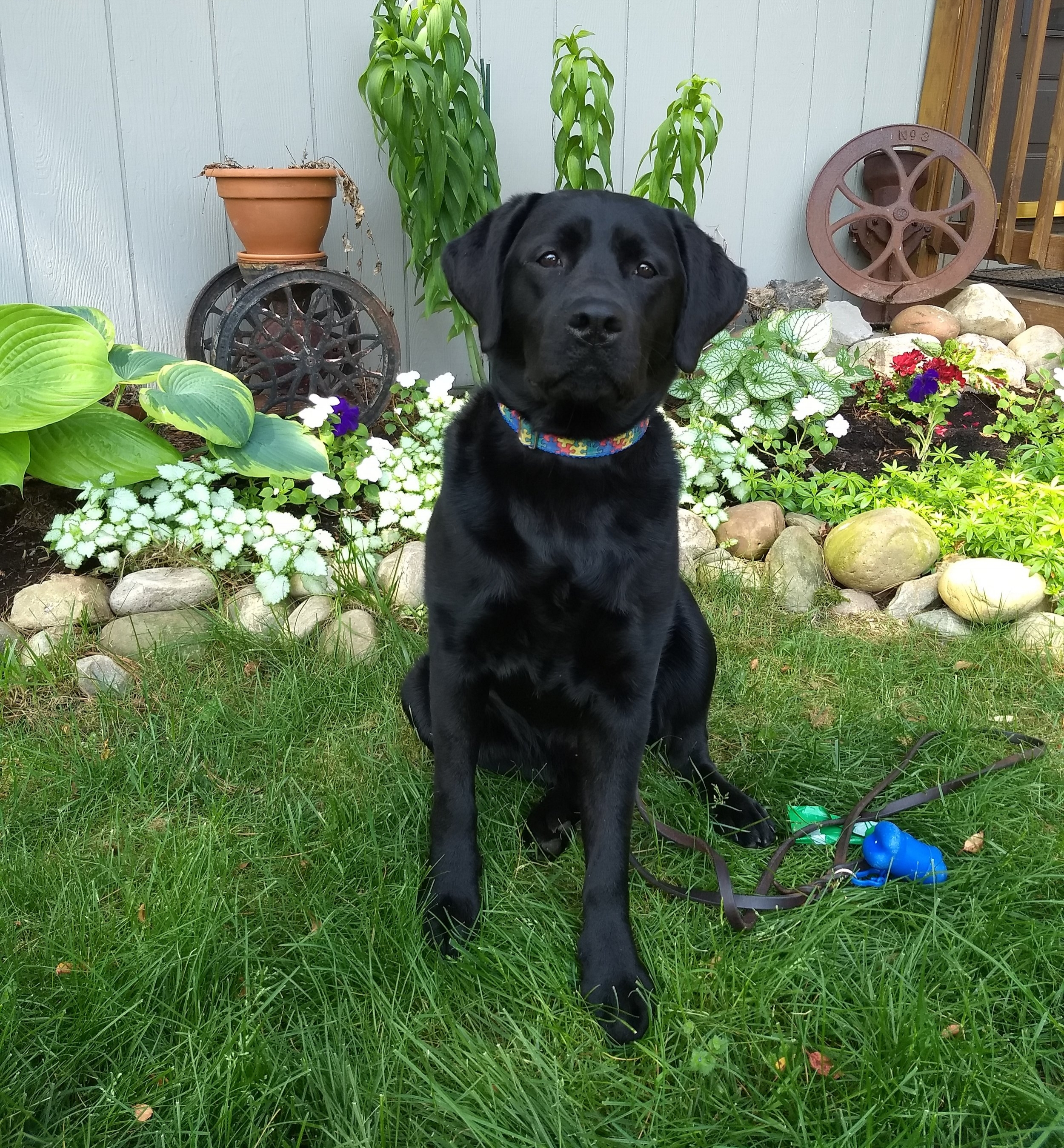 Shiloh
