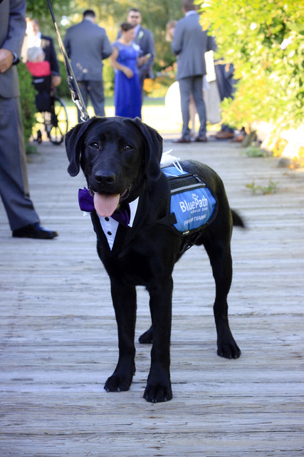 Abby & Phil's Handsome Ringbearer.jpeg